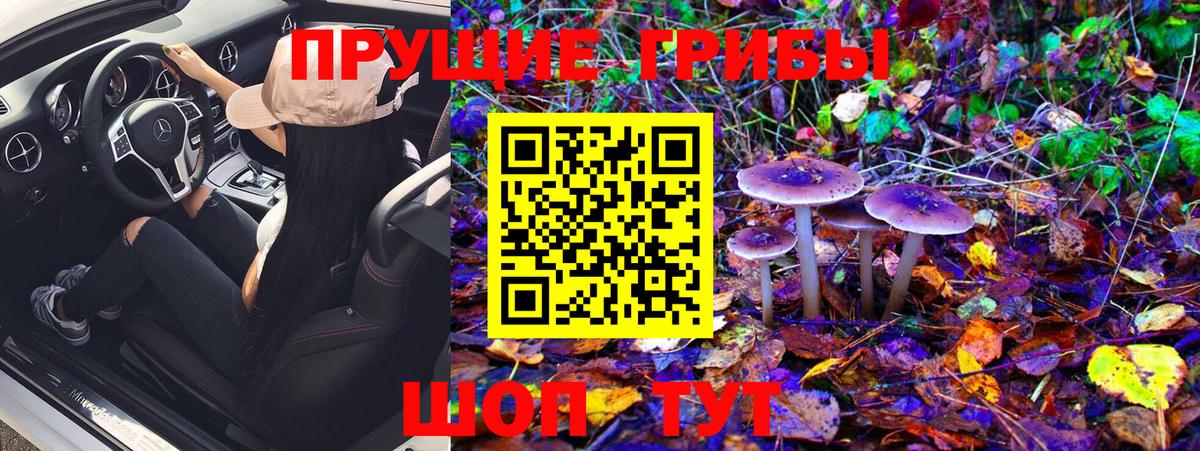Псилоцибиновые грибы Magic Shrooms Углич
