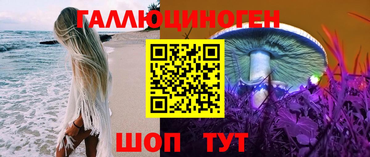 Углич  Псилоцибиновые грибы Magic Shrooms  Вход с VPN 